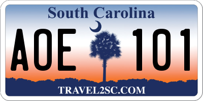 SC license plate AOE101