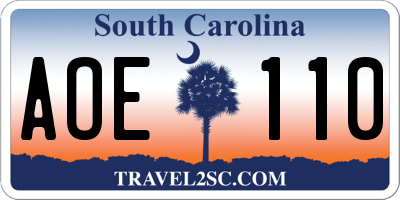 SC license plate AOE110