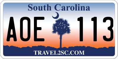 SC license plate AOE113