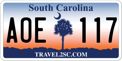 SC license plate AOE117