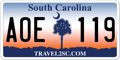 SC license plate AOE119
