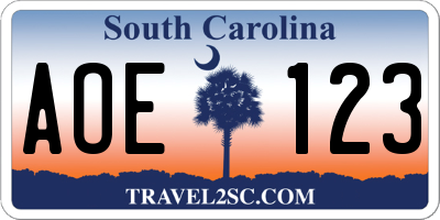 SC license plate AOE123