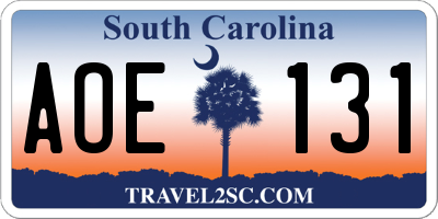 SC license plate AOE131