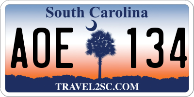 SC license plate AOE134