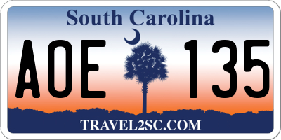 SC license plate AOE135