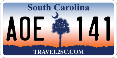 SC license plate AOE141