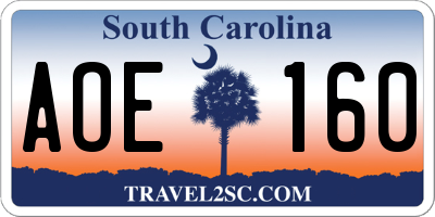 SC license plate AOE160