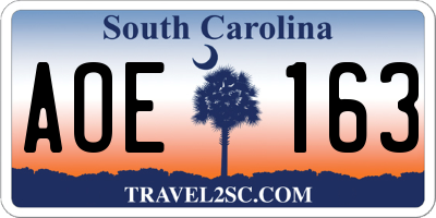 SC license plate AOE163
