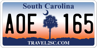 SC license plate AOE165