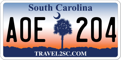 SC license plate AOE204