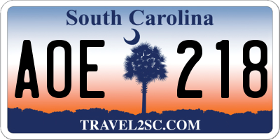 SC license plate AOE218