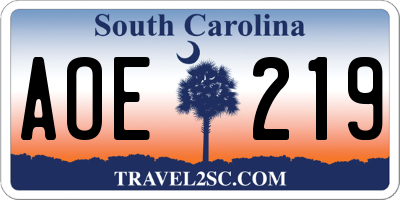 SC license plate AOE219