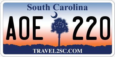 SC license plate AOE220