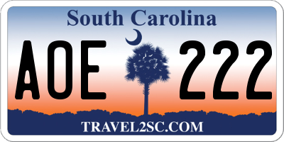 SC license plate AOE222