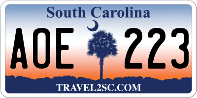 SC license plate AOE223