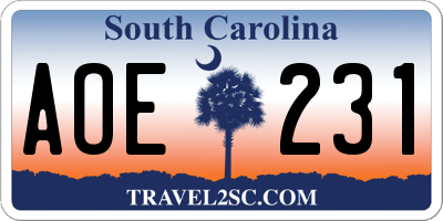SC license plate AOE231