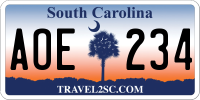 SC license plate AOE234
