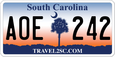 SC license plate AOE242