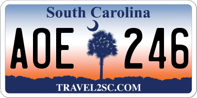 SC license plate AOE246