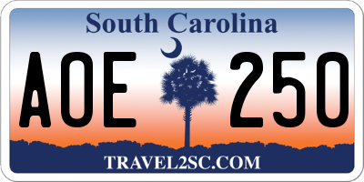SC license plate AOE250