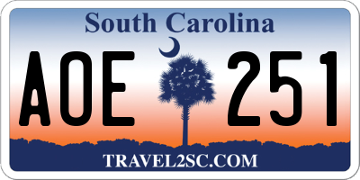 SC license plate AOE251