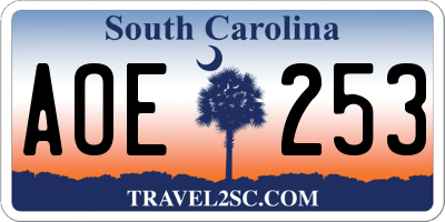 SC license plate AOE253