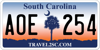SC license plate AOE254