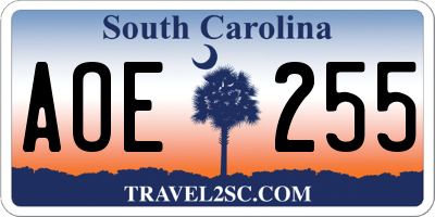 SC license plate AOE255