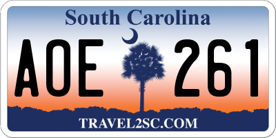 SC license plate AOE261