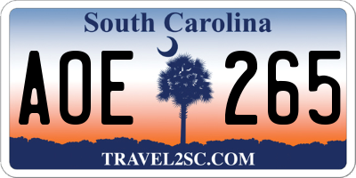 SC license plate AOE265