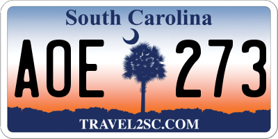 SC license plate AOE273