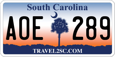SC license plate AOE289