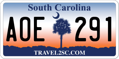 SC license plate AOE291