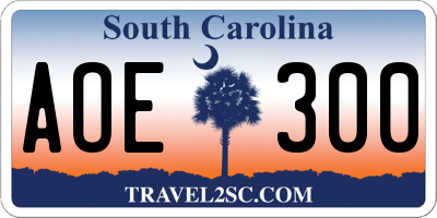 SC license plate AOE300