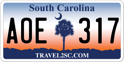 SC license plate AOE317