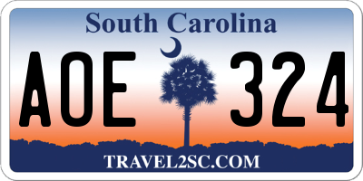 SC license plate AOE324
