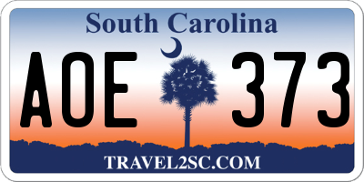 SC license plate AOE373