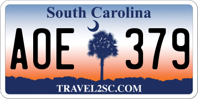 SC license plate AOE379