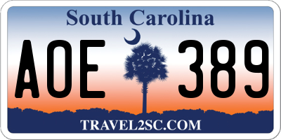 SC license plate AOE389