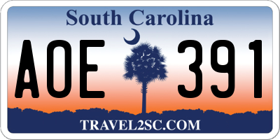 SC license plate AOE391