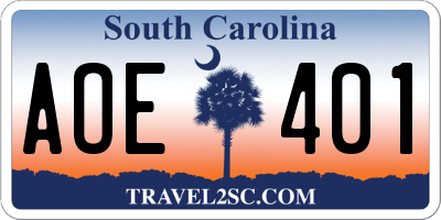 SC license plate AOE401
