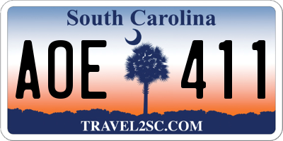 SC license plate AOE411