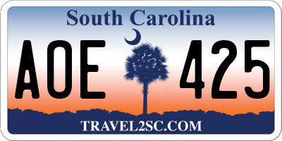 SC license plate AOE425