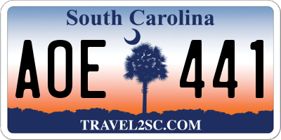 SC license plate AOE441