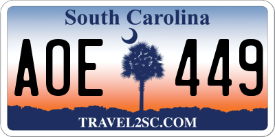 SC license plate AOE449