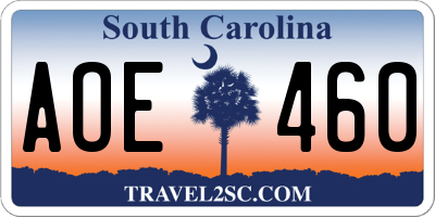 SC license plate AOE460