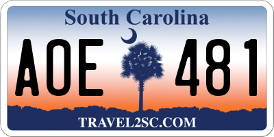 SC license plate AOE481