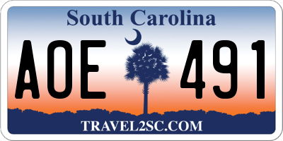 SC license plate AOE491