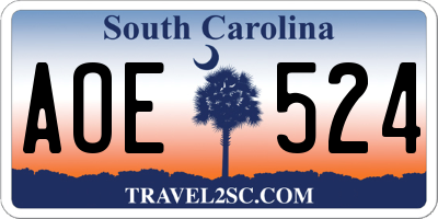 SC license plate AOE524