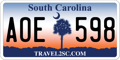 SC license plate AOE598